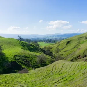 Morgan Hill